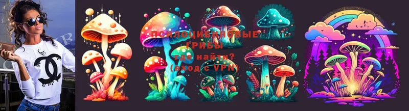 Псилоцибиновые грибы Psilocybe  Чухлома 